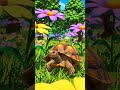 rabbit &amp; turtle ki race #ai #viral #video