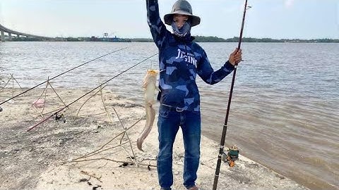 Câu cá dưới trụ cầu Mỹ lợi | river fishing