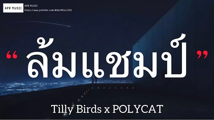 ล้มแชมป์ - Tilly Birds X POLYCAT (เนื้อเพลง)