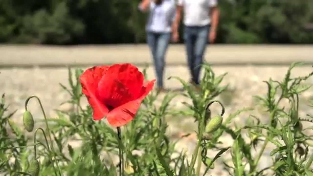 Europa Apotheke in Gersthofen