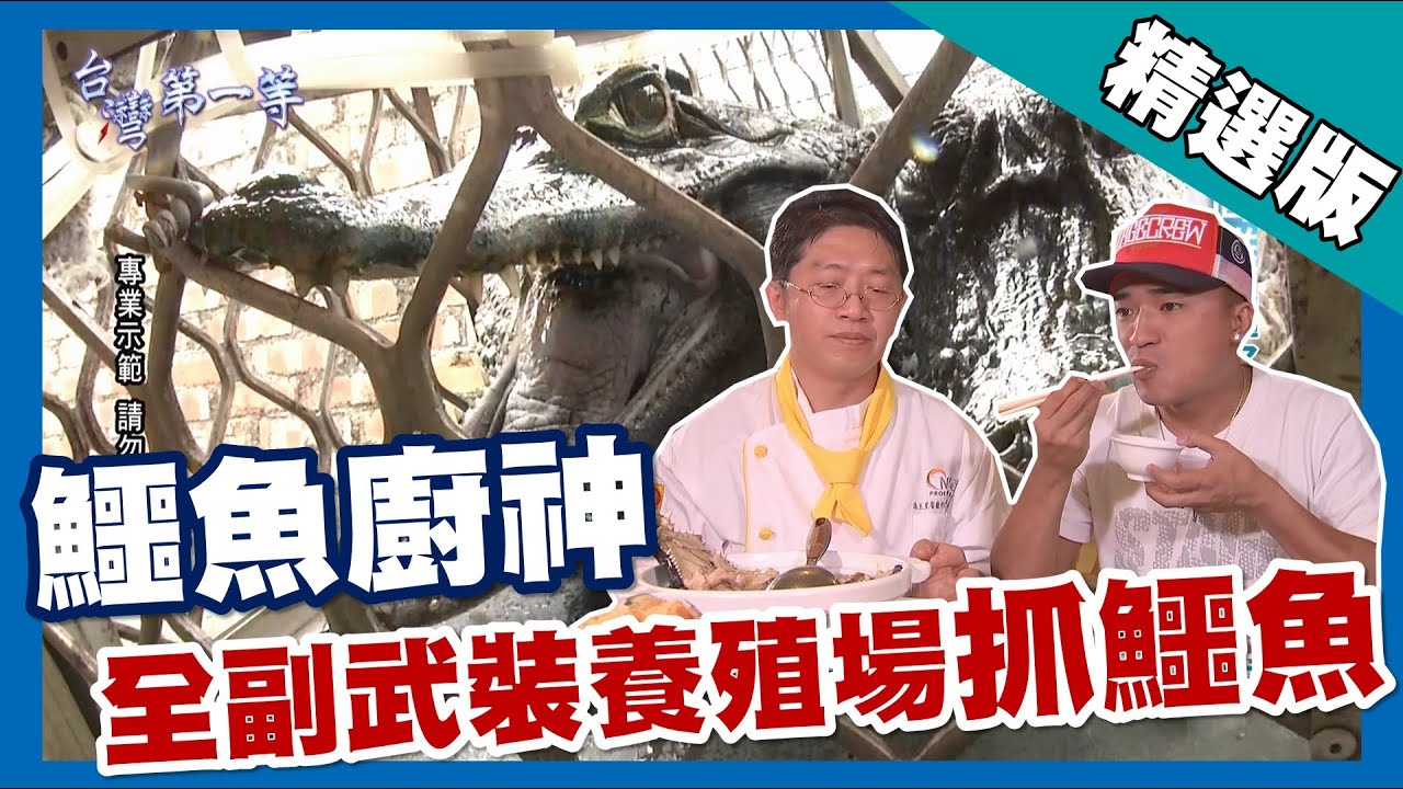 台灣第一等【鱷魚廚神阿泉師 眼鏡凱門鱷養殖場捕鱷】高雄_精選版 - YouTube