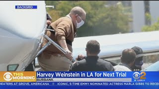 Celebrity Harvey Weinstein Extradited To LA To Face Charges He Sexually Assaulted 5 Women Wealth
