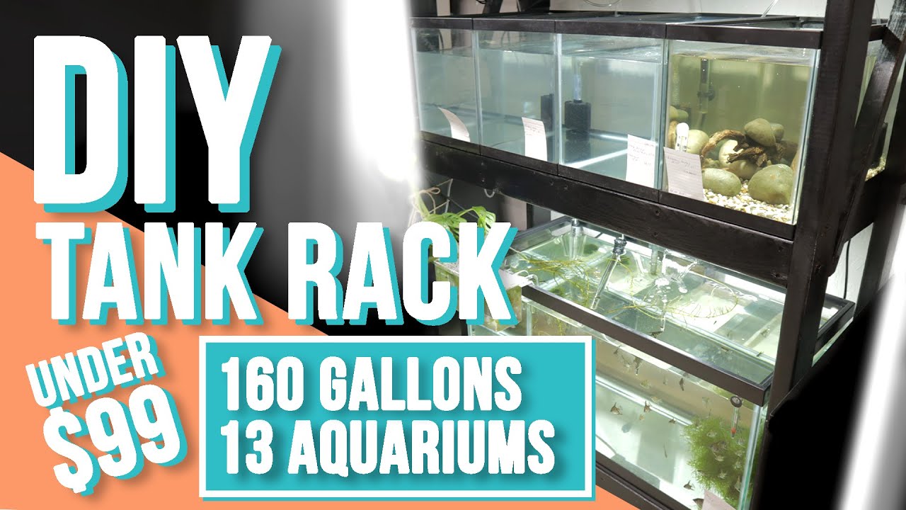 DIY Fish Tank Rack Under 99! YouTube