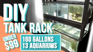 DIY Fish Tank Rack Under $99!
