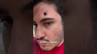 Karadulu Elime Aldım .