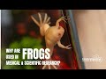 Why are frogs used in medical &amp; scientific research?