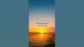 The Journey of Self-Reflection