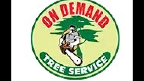 Servizio albero su richiesta a St Petersburg FL