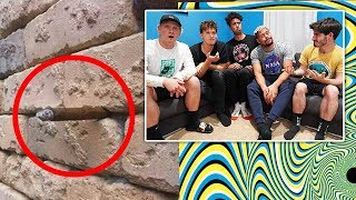 House Reacts To Insane Optical illusions!!