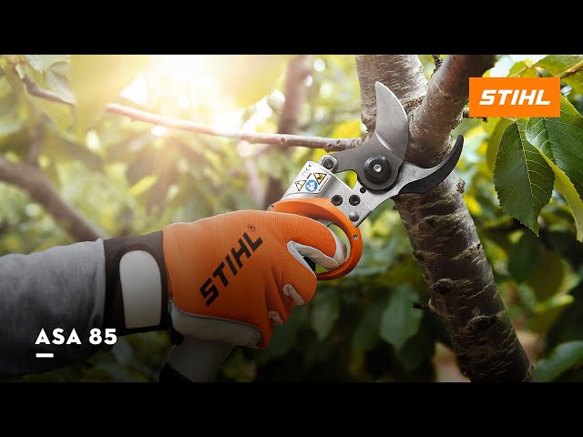 Tijera Stihl asa 85 - Con garantía de durabilidad y rendimiento -   ✂️【2023】