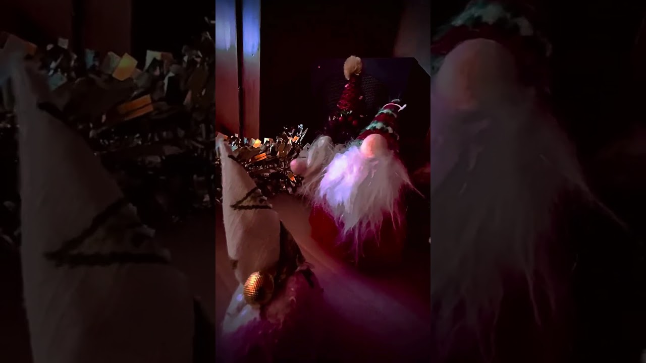 A gnome’s POV of GNOMMA’s resort!!!