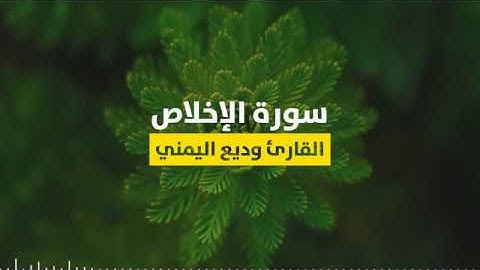 سورة الإخلاص - القارئ وديع حمادي حمود اليمني HD