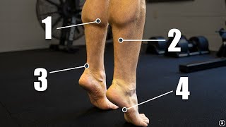 Chronic Ankle Instability | Recurrent Lateral Sprains (Strength | Plyometrics | Balance Exercises)