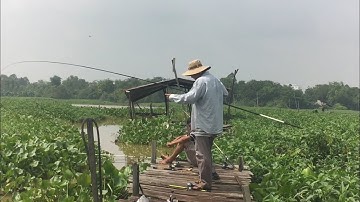 Ao Hoang Long Xuyên Điểm Câu Tuyệt Vời Cảnh Tuyệt Đẹp