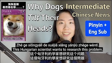 Intermediate Chinese News (Eng Sub) Why Dogs Tilt Their Heads [Comprehensible Input]