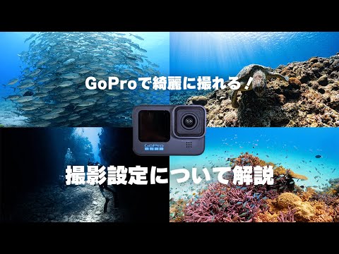 【GoProユーザー必見】水中撮影の撮影設定について解説！