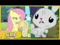 Fluttershy and Angel Spend a Day in Each Other's Body - MLP: Friendship Is Magic [Season 9]