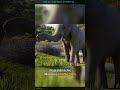 Planet Zoo 2 bringt Aquarien und Volieren noch in diesem Jahr