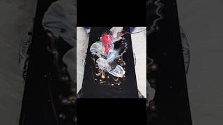 Blowout and Spin! #art #fluidartist #painting #shortvideo #shorts