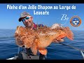 Pche dun gros chapon  au large de leucate