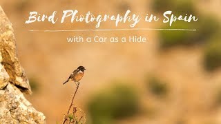How to Get Close to Birds | Car as a Hide | Bird Photography