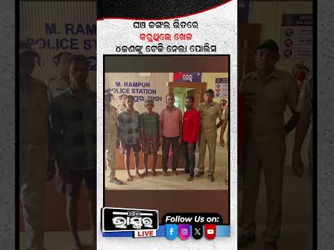 ୨୦ କ୍ୱିଣ୍ଟାଲ ୮୦ କେଜି ସନ୍ଦିଗ୍ଧ ଗଞ୍ଜେଇ ଜବତ #KalahandiNews #MRampurNews #Mohanagiri