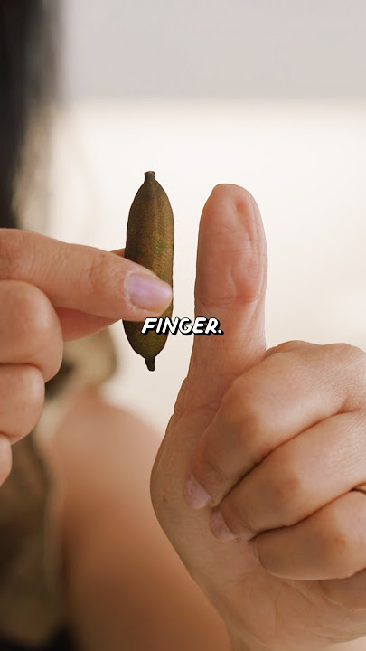 Testing a “Finger” Lime from a Farm Stand