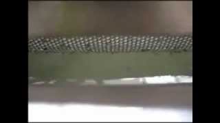 Underwater Seed Grader