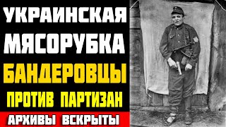 Бандеровцы vs Партизаны: Тайна предательства Украины, скрытая 80 лет!
