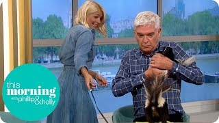 Holly Panics and Runs Away From Skunk as It Lifts Its Tail | This Morning