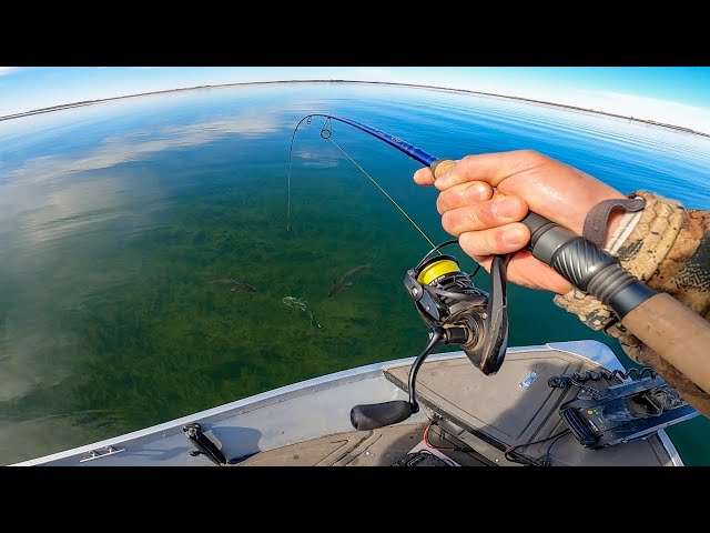 Sight Fishing Crystal Clear Water for Spawning Walleyes! (CATCH CLEAN COOK) class=