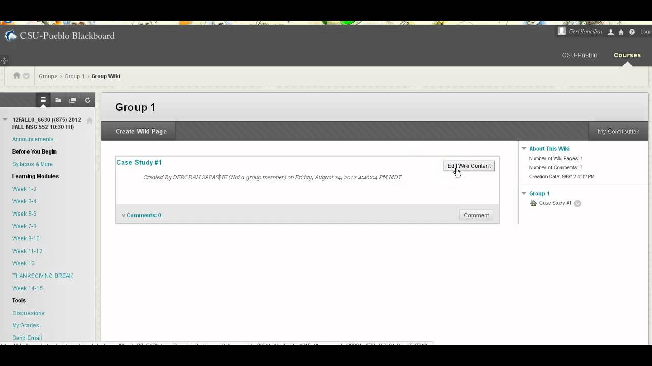Students Create Entries in Group Wiki