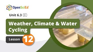 Unit 6.3 Lesson 12 | OpenSciEd On-Demand Resources