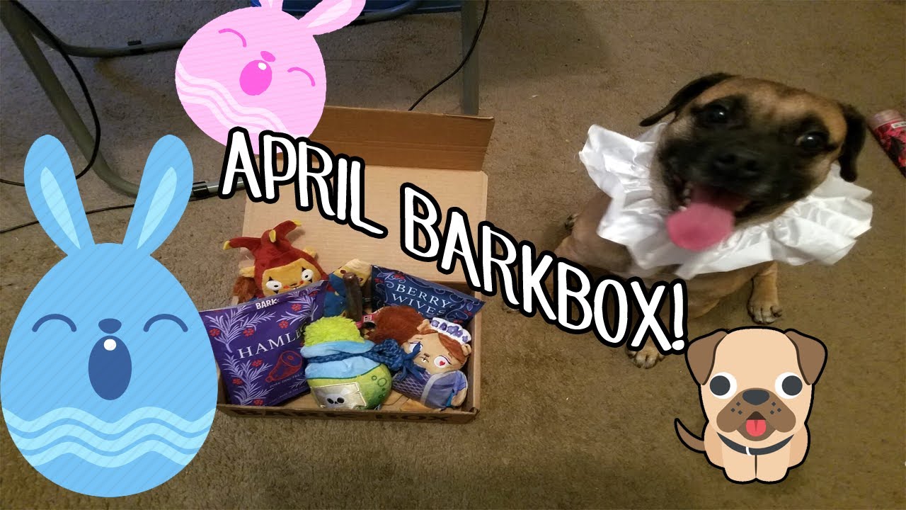 April BarkBox! YouTube