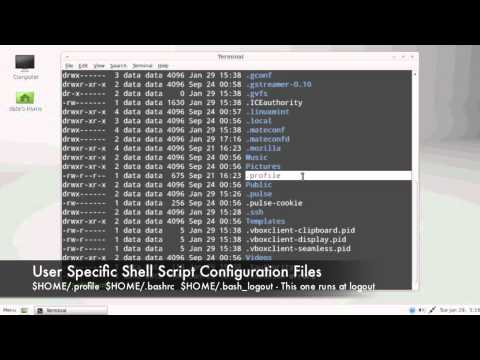 Mint Linux: Command Shells Tutorial