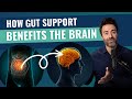 The Science of Probiotics: The Top 4 Gut & Brain Health Benefits EXPLAINED