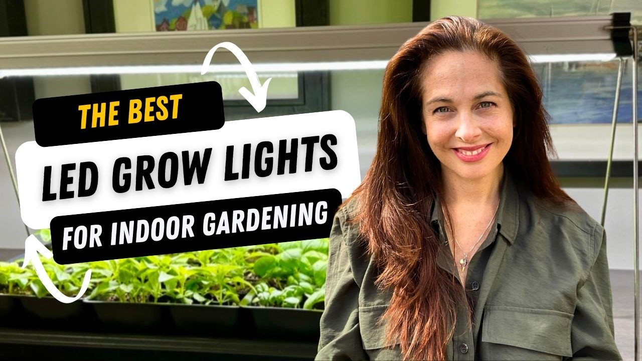 3 светодиодных фитолампы, которые я использую для проращивания семян и выращивания растений в пом...