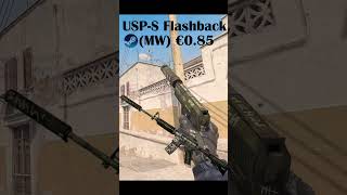 Top 5 USP-S Skins Under $1 in CS2