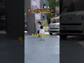 これ完全にしんちゃんじゃん（笑）