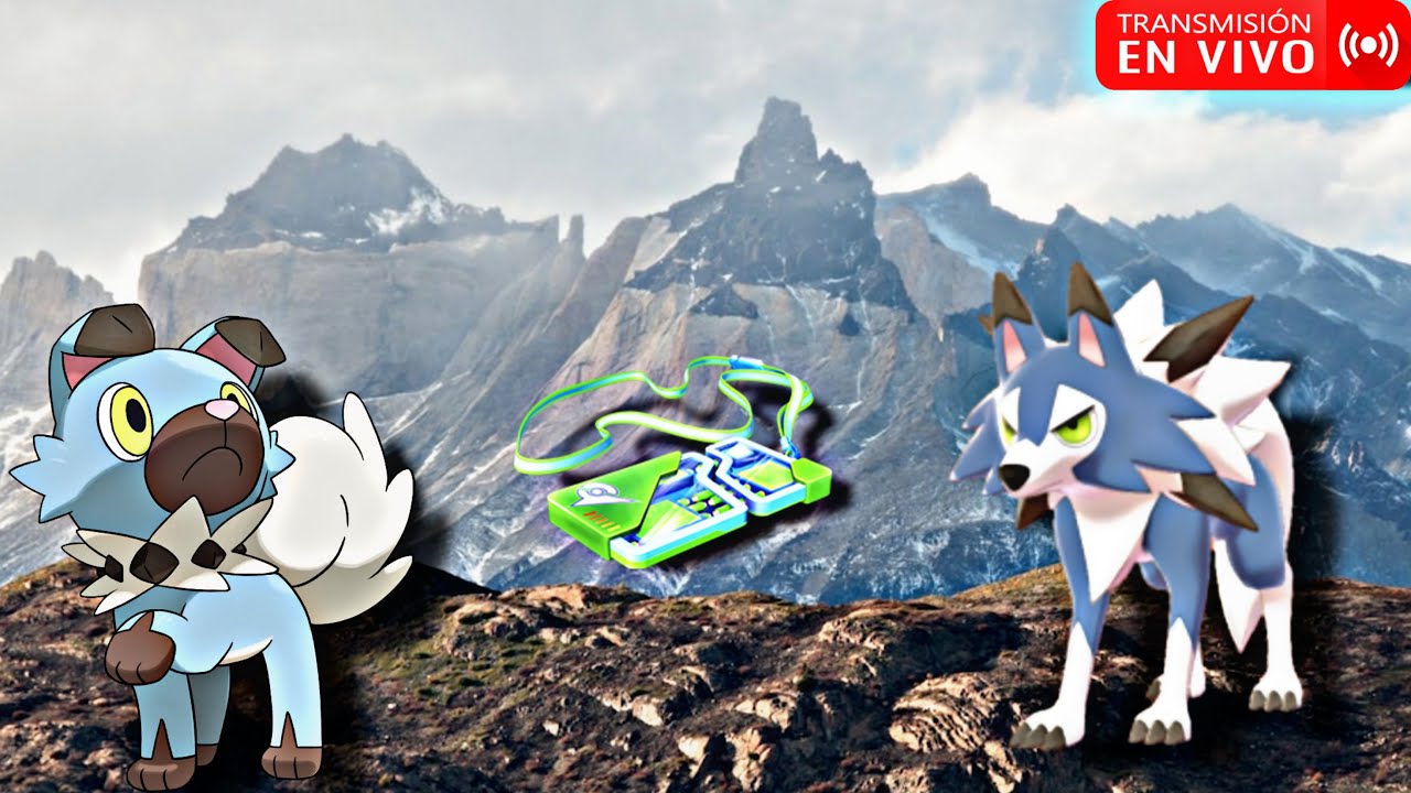 Shiny De Ruta 🚨RUTA ROCKRUFF 🚨BUSCANDO A LYCANROC CREPUSCULAR SALDRA EL SHINY 🤔🤔 ...