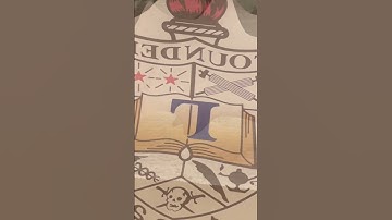 Sublimate on sequins pillow. #sublimate #sequinspillow #heatpress #crafting #sub #pillow