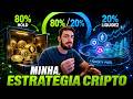 COMO ORGANIZO MINHAS CARTEIRAS DE CRIPTO: HOLDING X POOLS DE LIQUIDEZ (DEFI)