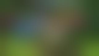 BREAKBEAT JUNGLE DUTCH ~ WIK THE FUCK MARTINEZ 2019