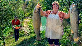 : Incredible Trout Steak Cooked Outdoors  Simple Life & Nature