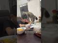 Como le explicas esto a alguien que no le gustan los gatos