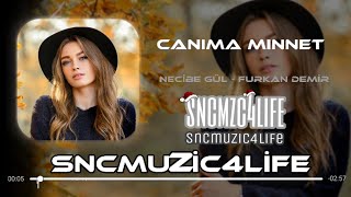 Furkan Demir ft.Necibe Gül - Canıma Minnet ( Remix ) | Tiktok Remix Resimi