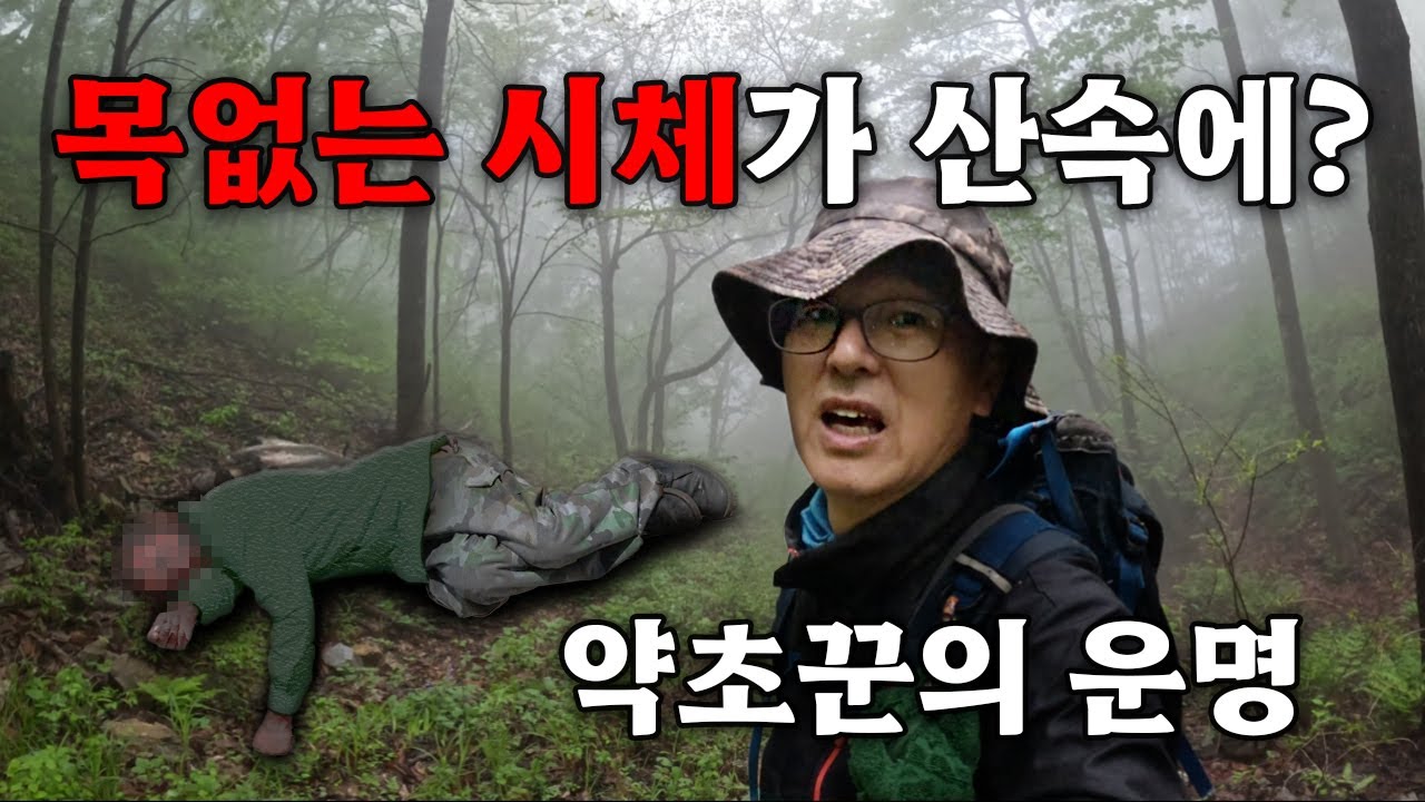 산속에 목 없는 시신이 발견 되는 이유 ? 약초꾼의 운명인가 !