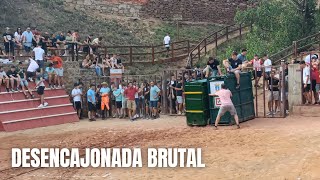 Brutal Desencajonada de Toro Cerril y Vaca | Torres de Albarracín (Teruel) | 19/07/2025 | 4K
