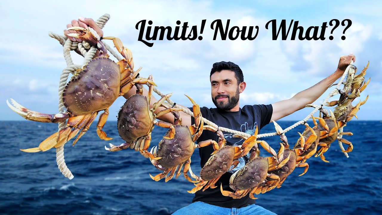 How Many Dungeness Crabs In A Pound