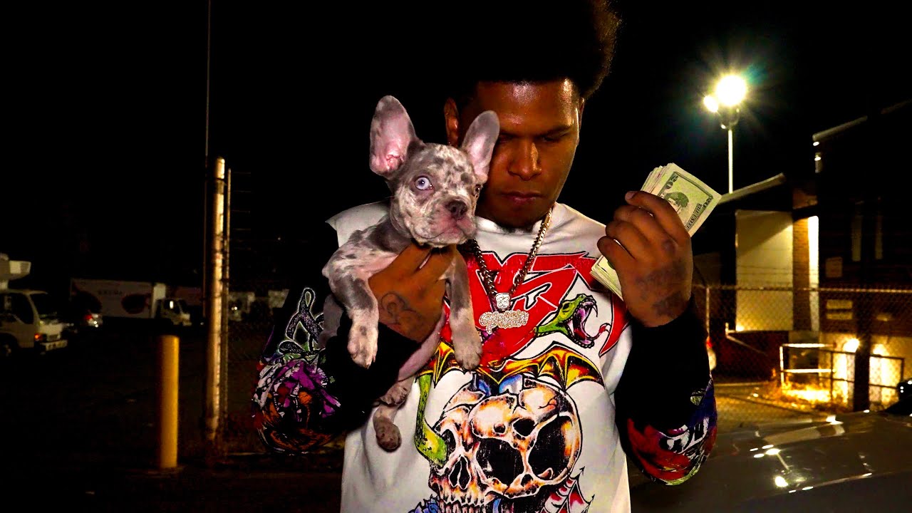 在 YouTube 上观看 Pollito Trapper -SIN DATA (Official Video) 在 YouTube 上观看 Pollito Trapper -SIN DATA (Official Video)